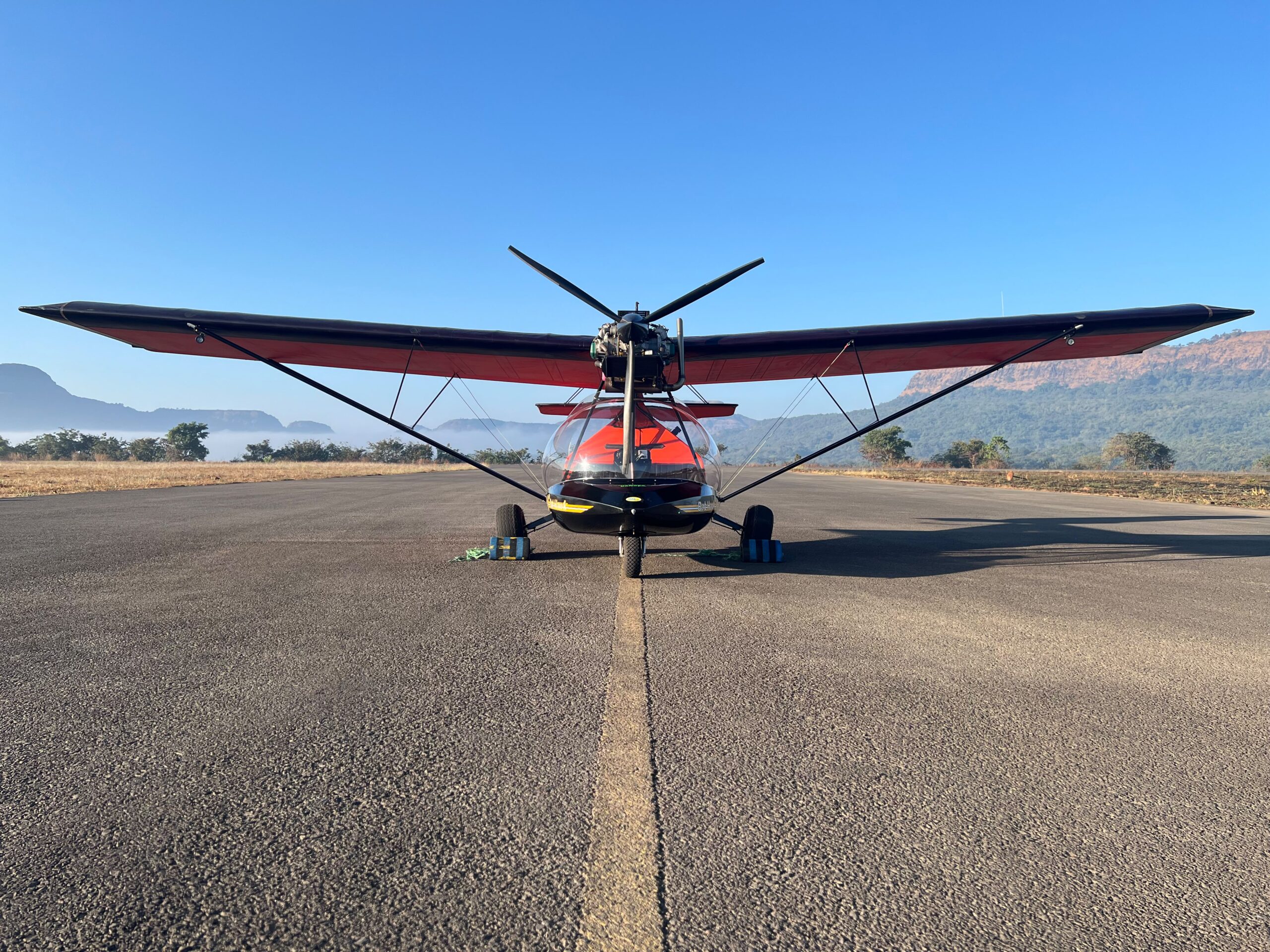 Bat Hawk Gallery P2